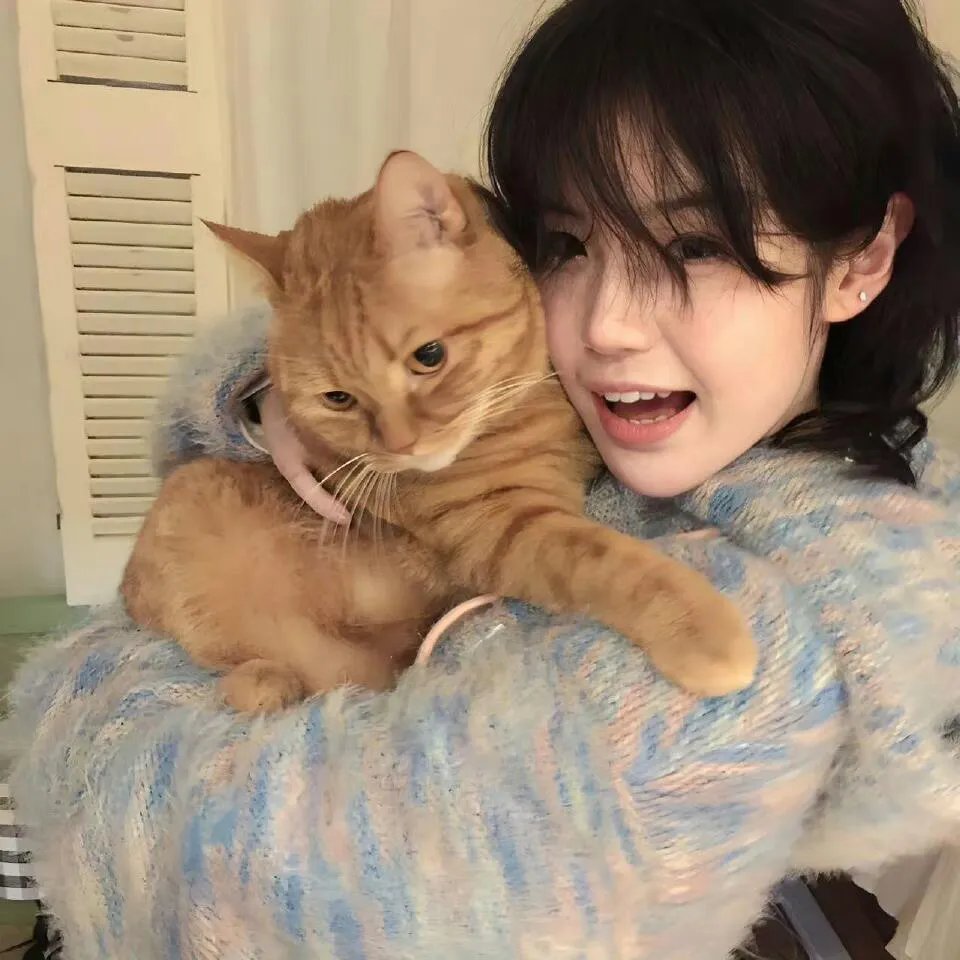 隐婚对象是大佬